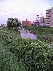 天白川