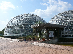 熱帯果樹温室