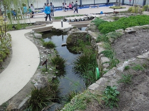 里山ゾーン
