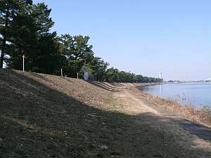 油島千本松締切堤